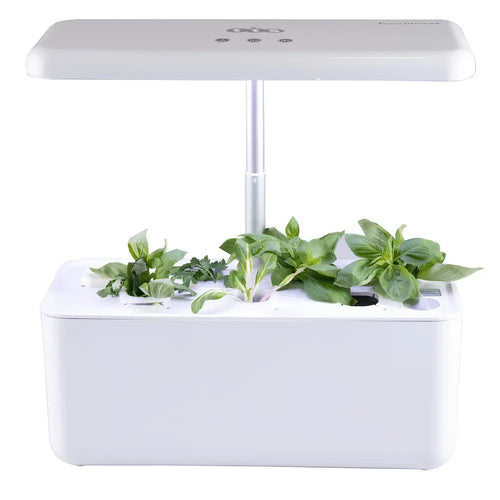 TTS Hydroponic Garden System w/ 7 Compartments, Educational STEM Compact Smart Gardens, Perfect for Teaching and Learning Materials