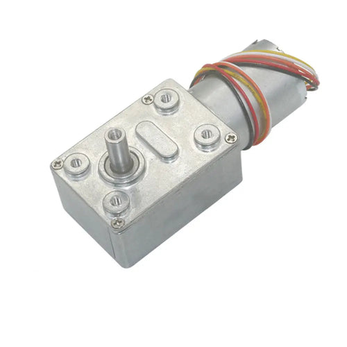 24mm 2430 DC Brushless Worm Gear Motor for Robots