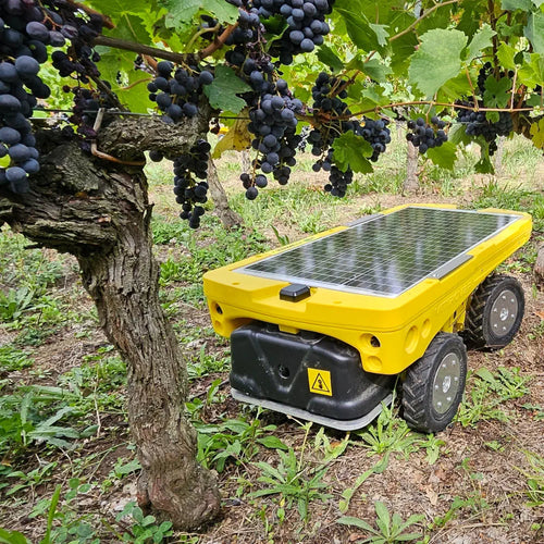 Vitirover VR8 Pro GPS Autonomous Robotic 4WD Mower (for Education)