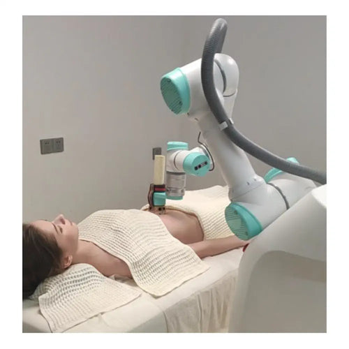 ATEAGO AI Massage Robot Physiotherapy Robot (Double Heads)