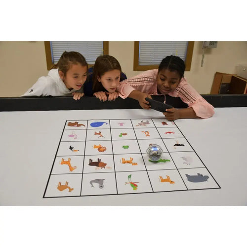 Animal Kingdom Code & Go Robotics Mat