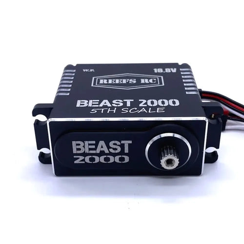 Beast 2000 1/5th Scale Servo