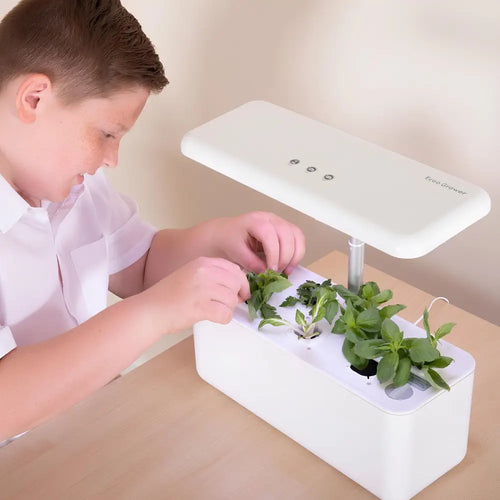 TTS Hydroponic Garden System w/ 7 Compartments, Educational STEM Compact Smart Gardens, Perfect for Teaching and Learning Materials