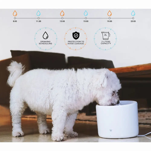 InstaChew Purrflow Smart Pet Fountain