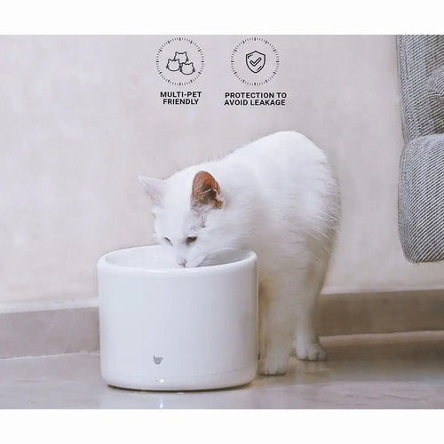 InstaChew Purrflow Smart Pet Fountain