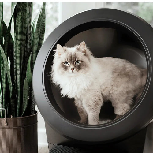 Litter-Robot 4 Automatic Self-Cleaning Litter Box - Black (Refurbished)