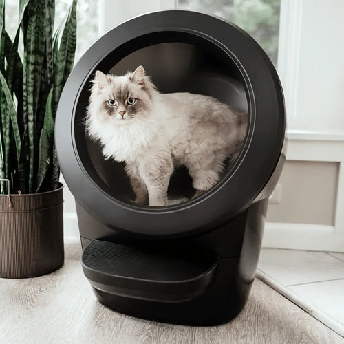 Litter-Robot 4 Automatic Self-Cleaning Litter Box - Black