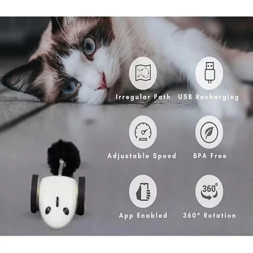 Instachew Purechase Smart Pet Toy (App-Enabled)