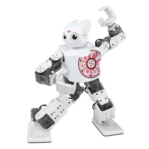 ROBOTIS MINI Humanoid Robot Kit