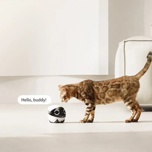 ROLA Mini Pet Monitor Companion Robot