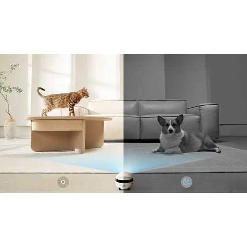 ROLA Mini Pet Monitor Companion Robot