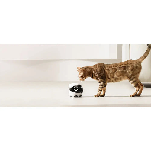 ROLA Mini Pet Monitor Companion Robot