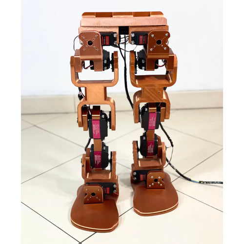 Youbionic Legs Pro